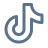 Tiktok icon
